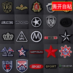 Small Size Badge Cloth Stickers Patch Clothes Pants down Jeans Wear Holes Fixing Applique Fashion Embroider Patch