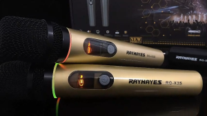 RAYHAYES RG-X3S Professional Wireless Microphone UHF Rechargeable Dynamic Mic Wireless For Karaoke
