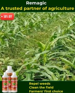 Combo Buy 3 Get 1 Free TreesMax Organic Herbicide RedMagic 100% Natural Castor Oil Super Power Safe For Human Pet & Environment