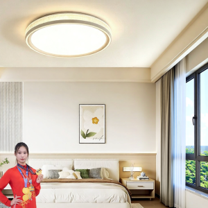 PAIMIJI | New Ultra Bright Eye-Protection Ceiling Light