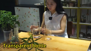 Clear Glass Cylinder Flower Vase Transparent Decorative Vase for Table Living Room Home Decor