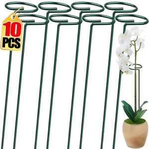 10Pcs High-quality Gardening Plant Supports Flower Stand Reusable Protection Fixing Tool Garden Supplies For Vegetable Holder Bracket