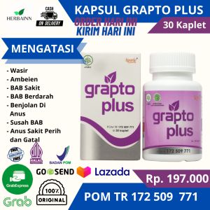 Grapto Plus Obat Wasir Asli Herbal Ambeien Ampuh Atasi Ambeien Sembelit dan Wasir