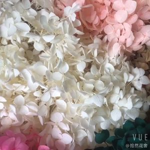 Anna Hydrangea Flowers Little Leaves Preserved Hydrangea Decor Office Decor DIY Flowers