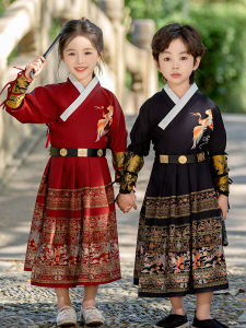 Boys Hanfu Long Robe Spring Outfit Flying Fish Ming Dynasty Costume Childrens Martial Artist Tang Suit Kindergarten Performance Clothes