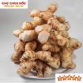 Củ Riềng Tươi Vùng Thất Sơn Dùng Làm Gia Vị Và Dược Liệu  Gói 500gr. 