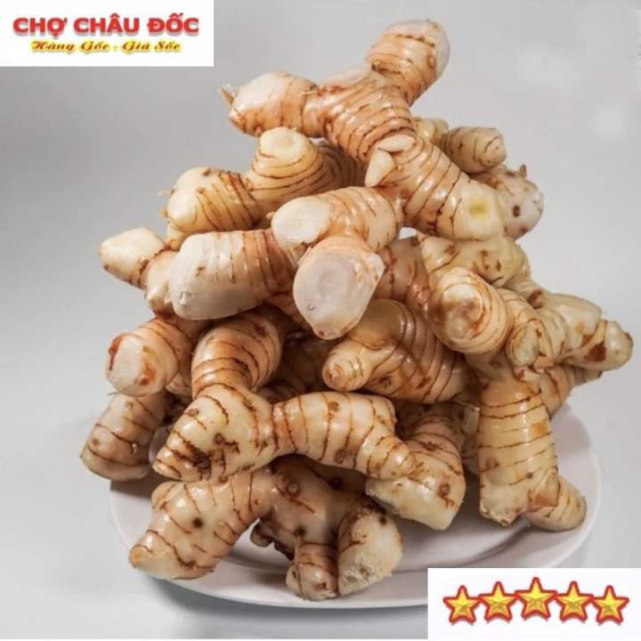 Củ Riềng Tươi Vùng Thất Sơn Dùng Làm Gia Vị Và Dược Liệu  Gói 500gr