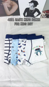 4pcs Cacti Keno Cotton Underwear Cartoon Antibacterial Safety Briefs For Boys High Quality Cotton Boxer Briefs