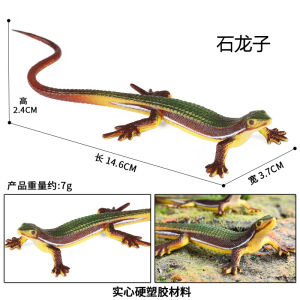 Hard Resin Iguana Model Realistic Simulation Leopard Gecko Eyelash Angled Tortoise Blue Tail Grass Lizard Ring Necked Spine Rock Lizard Toy