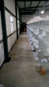 Máng uống nước tự động cho chim  bồ câu gà đá MC85