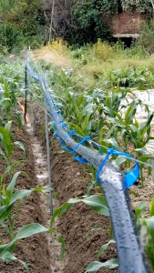 200M 1 inch 2 inch PE agricultural irrigation plastic water pipe micro spray tape dropper with black main sprinkler irrigation hose drip saving irrigation belt