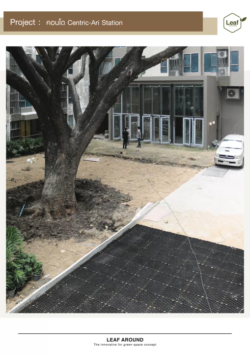 บล็อกพลาสติก GRASS PAVE สำหรับปลูกหญ้า