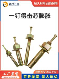 Hammer Drive Expansion Screws for Elevating Machines Wall Lizard Expansion Bolts Tightening Hardware Tools from China