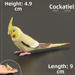 MENGSILE | Realistic Childrens Animal Toy Model Birds