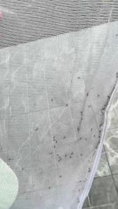 ถุงดักยุงสำหรับใส่กับพัดลม DIY สินค้าเฉพาะถุง