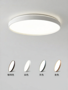 DGY | Modern Nordic Creative LED Ceiling Light