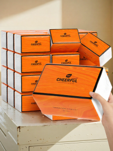 Botare | Wall Mounted Facial Tissue 40 Packs