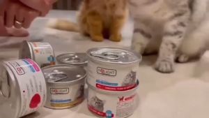 D+LIGHT ดีไลท์ อาหารแมว ทูน่าพรีเมี่ยมในเจลลี่นุ่ม 80G 4กระป๋อง