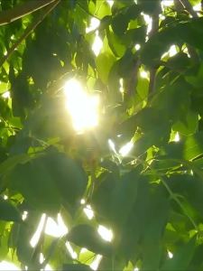 Hot Sale 2025 New Wireless Hair Dryer: Portable & Rechargeable