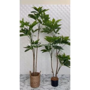 Pohon Artificial Pohon Imitasi Daun Manggis Variasi Tinggi 150 & 170 Cover Eceng Gondok Handle Hiasan Rumah