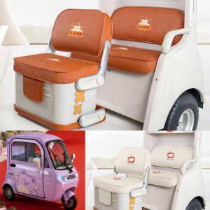 Electric Tricycle Interior Accessories Seats and Floor Mats
