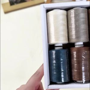 10pcs/Set Sewing Thread 10 Colors Set For Sewing Machine Quilting Hand Sewing