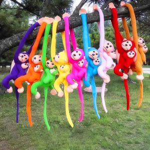60/70CM Long Arm Monkey Plush Gift Anti-collision Banana Monkey Curtain Strap Monkey Gift Stuffed Gift Birthday Wedding Party