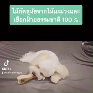 DOG LOVER BOX SET ของเล่นสุนัขและเล่นหมา จากไม้มะม่วงและเชือกฝ้ายธรรมชาติ พร้อมถุงเก็บอึ และเชือกกัดจากเชือกฝ้ายธรรมชาติ 100 %