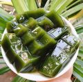 Cây giống sương sâm (sâm trơn). 