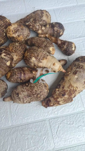 Umbi Talas Pulen 1kg Sudah Bersih / Talas Pulen / Segar