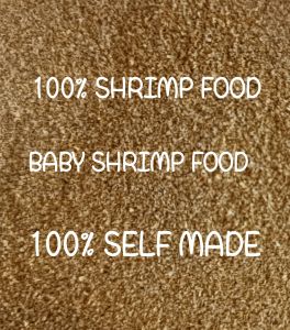 BABY SHRIMP FOOD / HIGH PROTEIN 43% （SELF MADE）（43%高蛋白质自制虾料）