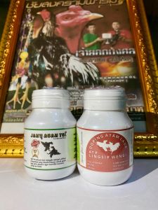 Paket Pro 16 Doping Atp-Lingsir Wengi Kapsul + Jamu Ayam Tgi Kapsul Perawatan Ayam Aduan Terbaik
