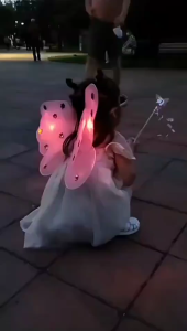 Girls Princess 4pcs/set Costume Butterfly Fairy Butterfly Angel Wing Dress Up Set with dress
