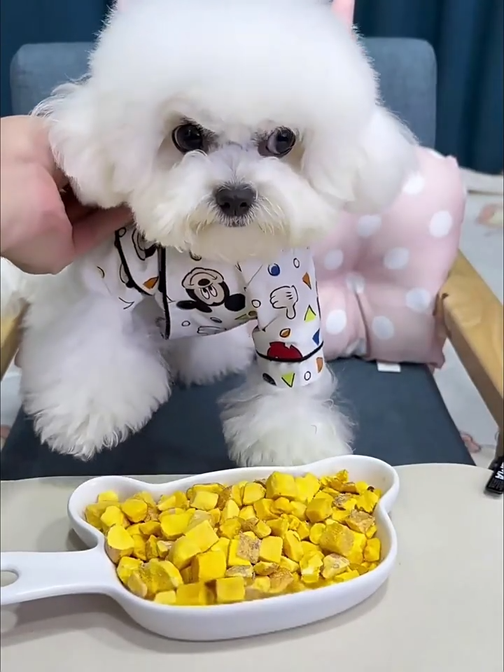 【SG ready stock】Freeze Dried Chicken Snacks Cat Treats Dog Treats Food Freeze Dried Snacks