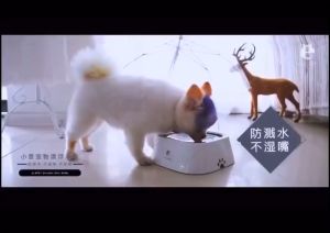 Tempat Minum Anjing Kucing Hewan Els Pet / Els Pet Waterbowl