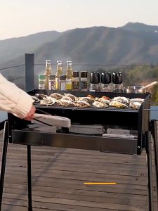 BBQ grill Charcoal Stove household barbecue grill outdoor courtyard bbq portable barbecue stove
