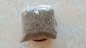 1kg cây lá lốt sấy khô