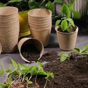 Seed Starter Biodegradable Peat POTS Seedling Planting POTS with 1/610 Labels Plant POTS with Humidity Domes