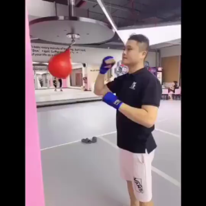 Boxing Reaction Speed Ball Platform Set Boxing Speed Ball With Plate Training Set Sanda Muay For Hom