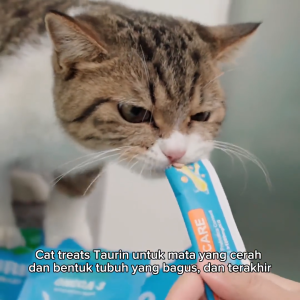 MrVet / Mr Vet Creamy Cat Treats Box (15 Gr x 50 Stick) / Snack Kucing