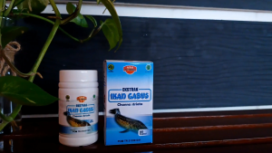 Kapsul ikan Gabus dengan Ekstrak Ikan Gabus Obat Herbal Luka 60 Kapsul dari Ath Thoifah