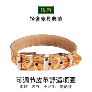 BotanSA Vretha Premium Leather Dog Leash Neck Collar for Small to Medium Dogs Comfortable And Non-Choking