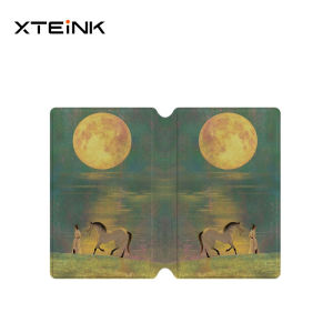 XTEINK | Chinese Style Custom Magnetic Protective Case for XTEINK X4Pro Reader E-Book Case Anti-fall Protective Shell X3 X4 Reader Gifts