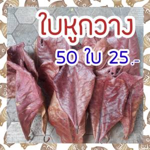 ใบหูกวางตากแห้ง คัดพิเศษเกรด A สีเข้มๆ รักษาแผลตามตัวปลา กำจัดปรสิต เร่งสี สารพัดประโยชน์ บรรจุ 50 ใบ