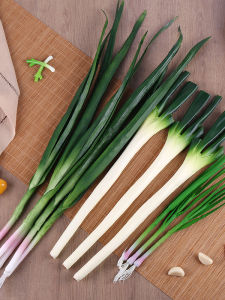 HANXUANMIAOYI | Simulated Leek Model For Decoration