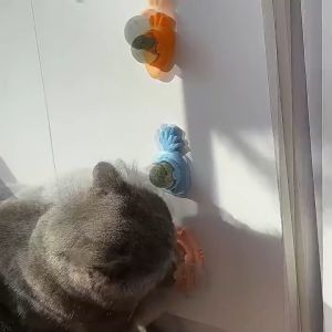 Rotating Catnip Ball Snack Anti Stress Untuk Kucing Bentuk Kucing