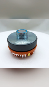 1000W R.Audio Titanium Tweeter Driver Unit – HDYW44-29 High-Performance Audio Speaker
