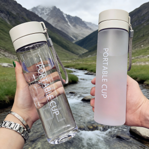 800ML Large Capacity Leak-Proof Water Bottle Plastic Water Cup Outdoor Camping Travel Fitness Gym Portable Transparent Juice Cup