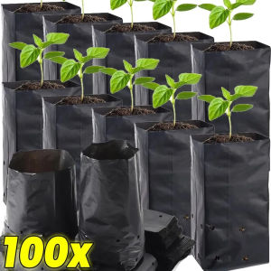 Dizoey 10/100PCS Plant Nursery Bags Black PE Seedling Pouch Grow Bag Pots Flowers Fruit Tree Container Home Garden Seedling Tools