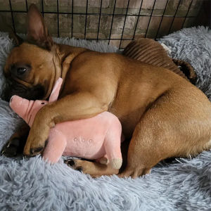 1pc Cute Pig Design Pet Chewing Plush Toy Durable Chew Toy for Dogs and Cats Interactive Supplies